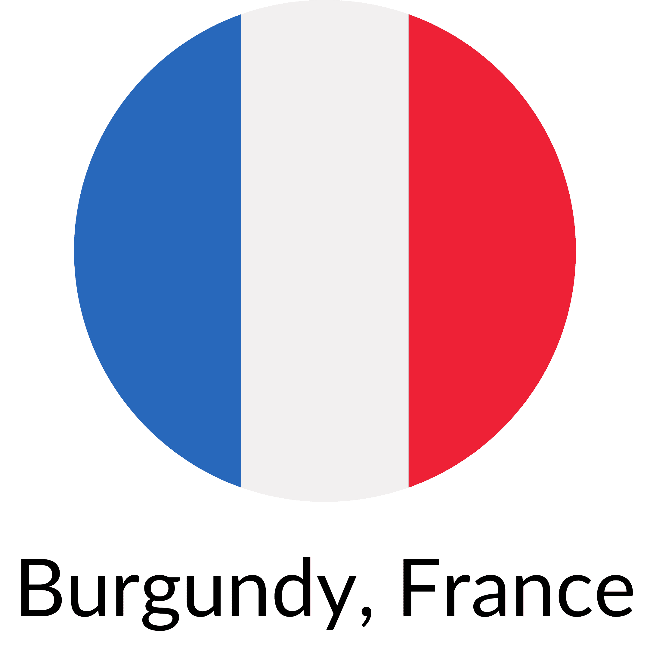 France Flag