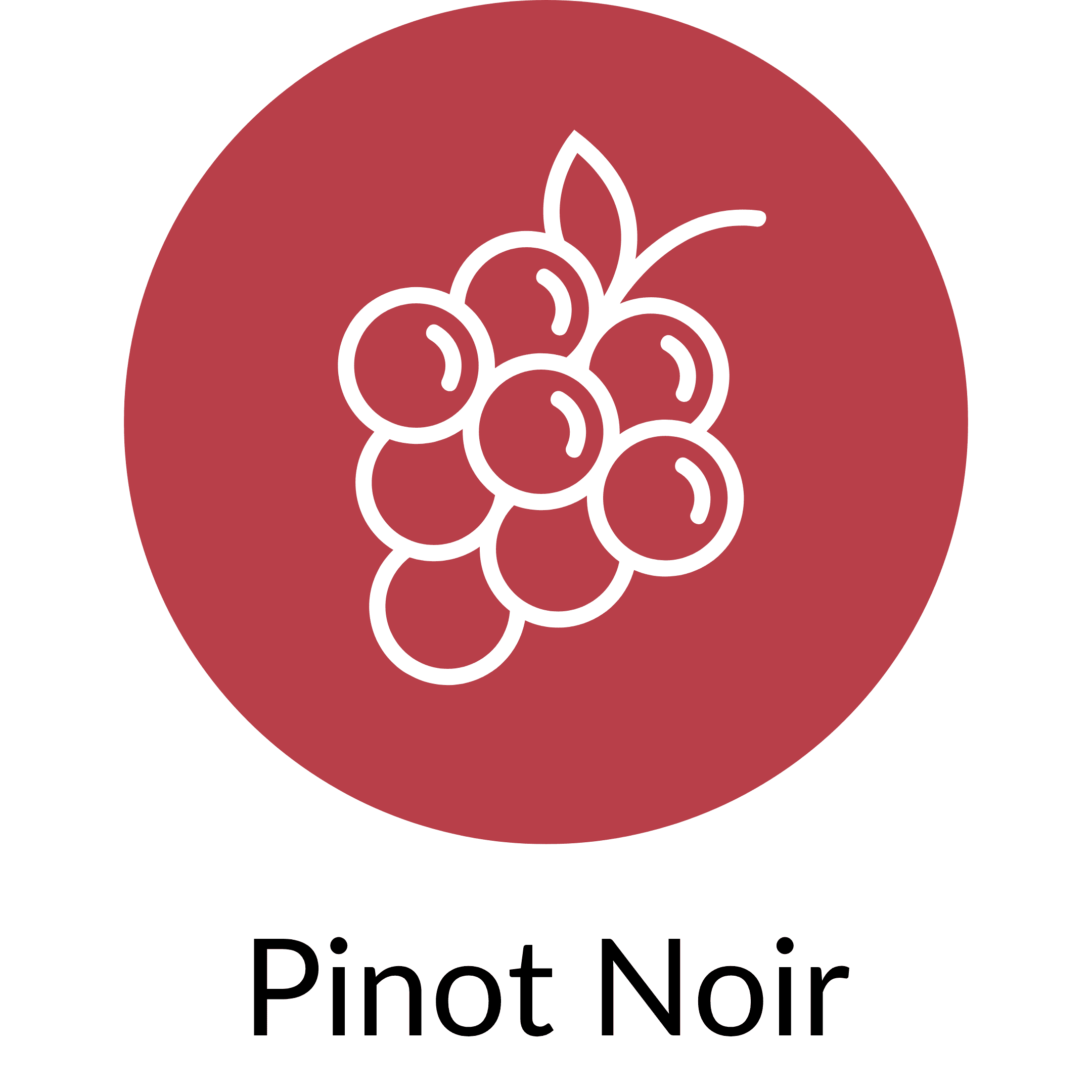 Pinot Noir