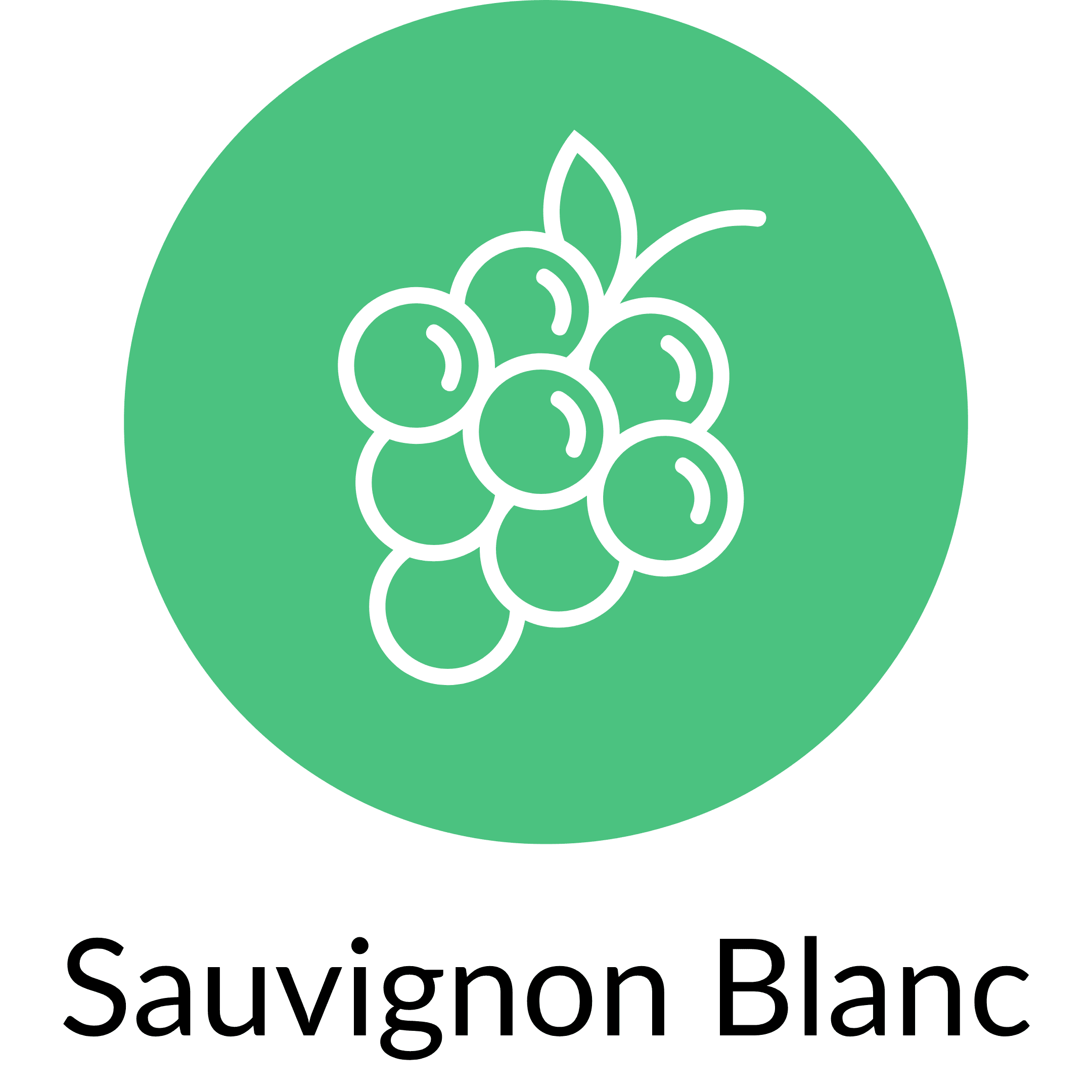Sauvignon Blanc