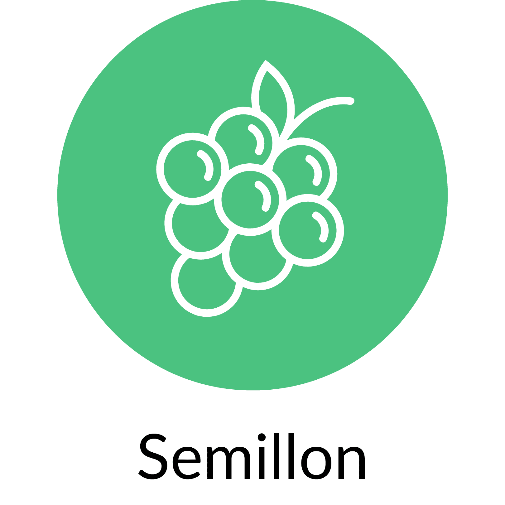 Semillon