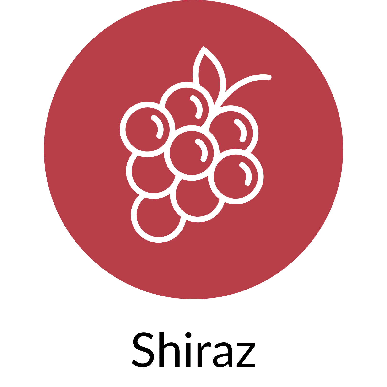 Shiraz