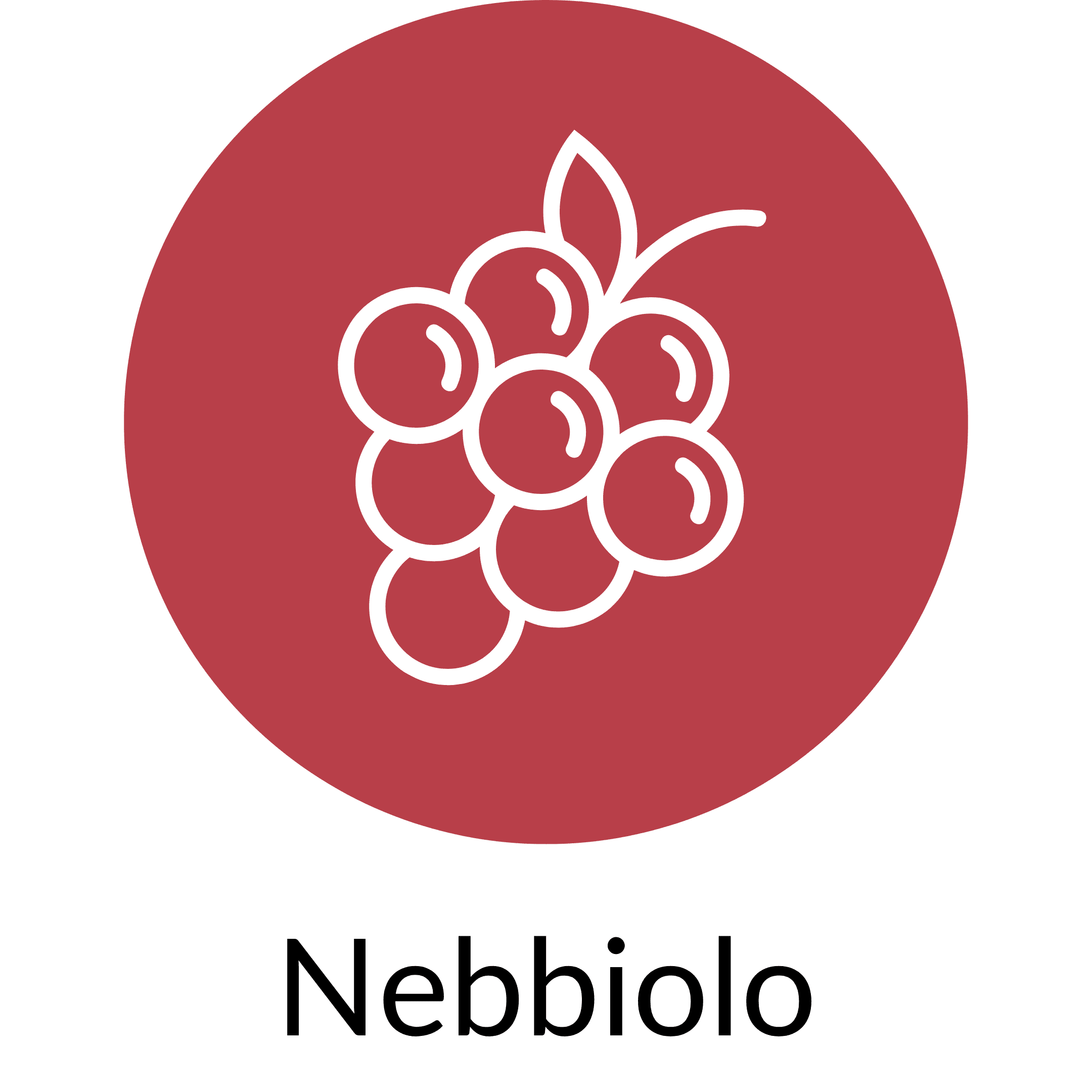 Nebbiolo