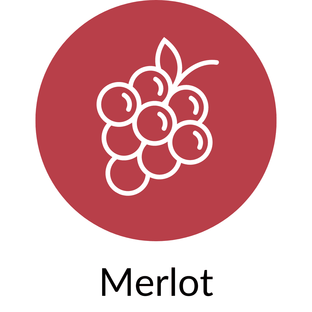 Merlot