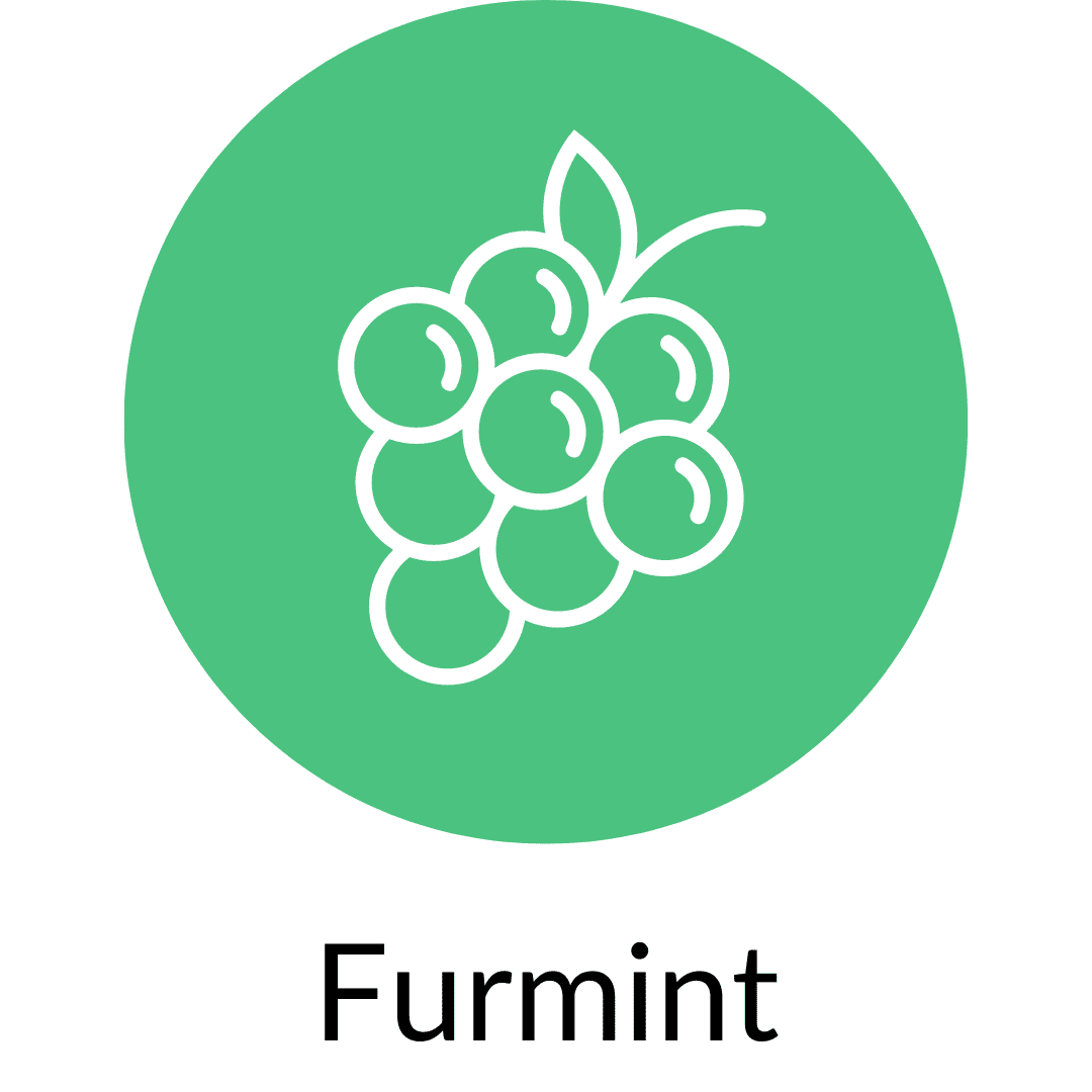 Furmint